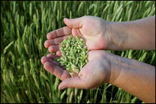 McNamara Agribusiness Management & Finance